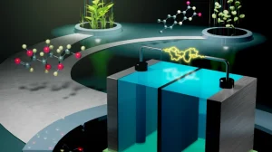 bez nazvaniya 2025 11 16t000927.328