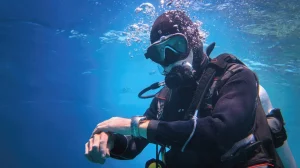 bez nazvaniya 2025 11 21t235556.374