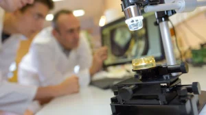 bez nazvaniya 2025 11 23t204318.256