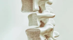 bez nazvaniya 2025 11 24t232710.240