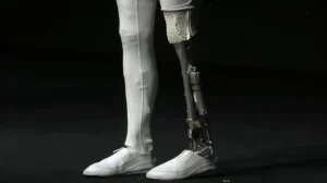 bez nazvaniya 2025 11 24t234401.350