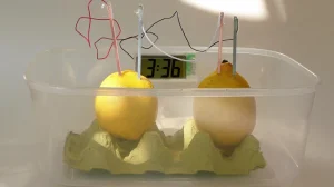 bez nazvaniya 2025 11 29t200739.718