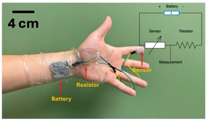 Ученые создали экологичную батарейку, которая полностью разлагается за 2 месяца