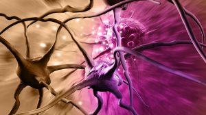 brain cancer cells neurons