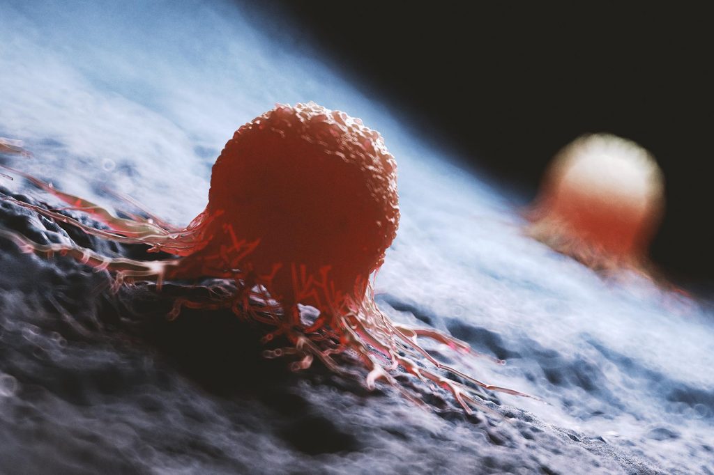 Ученые создали ИИ-систему для обнаружения ранних признаков рака в клетках