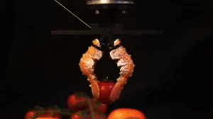 bez nazvaniya 2025 12 10t225506.774