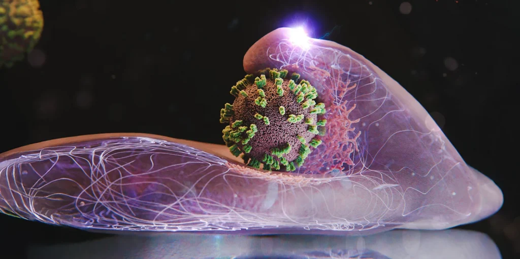 Новый микроскоп ViViD-AFM показал «танец» вируса гриппа и клетки в реальном времени