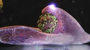 bez nazvaniya 2025 12 14t011903.115