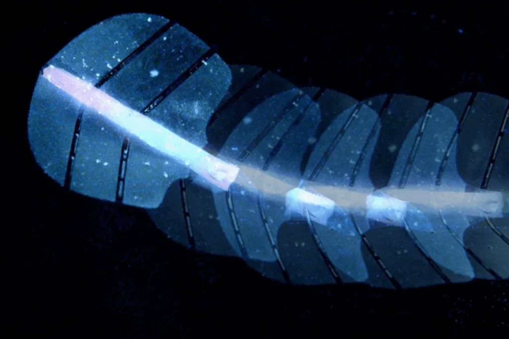 Швейцарские учёные создали робота-ската с мышцами из микропузырьков