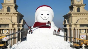 bez nazvaniya 2025 12 26t140638.415