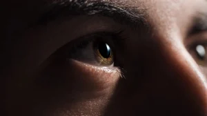 bez nazvaniya 2025 12 29t210431.981