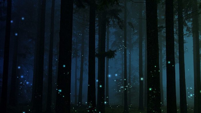 5 сверхъестественных тайн, которые наука наконец объяснила