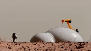 bez nazvaniya 2026 01 05t014638.956