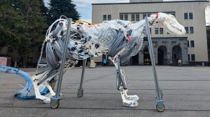 maxresdefault 2026 01 01t215826.717