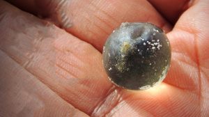 maxresdefault 2026 01 11t173305.103