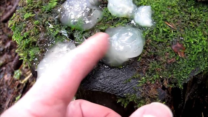 7 леденящих душу загадок, которые наука до сих пор не объяснила