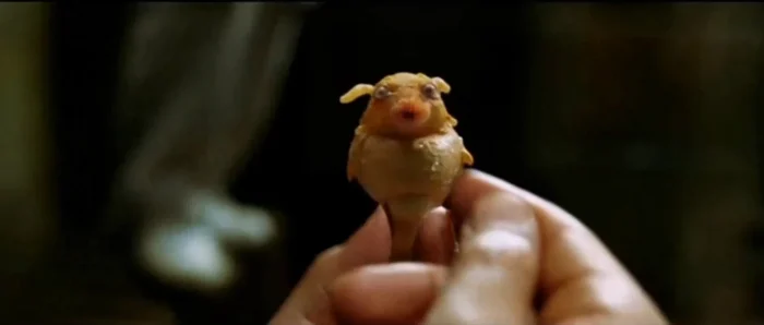 От Железного человека до Трансформеров: 7 фантастических технологий, ставших реальностью