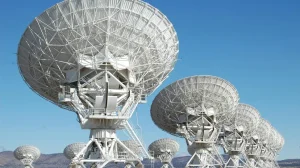 entangled telescope network