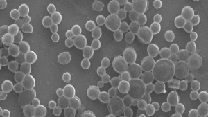 microbubbles