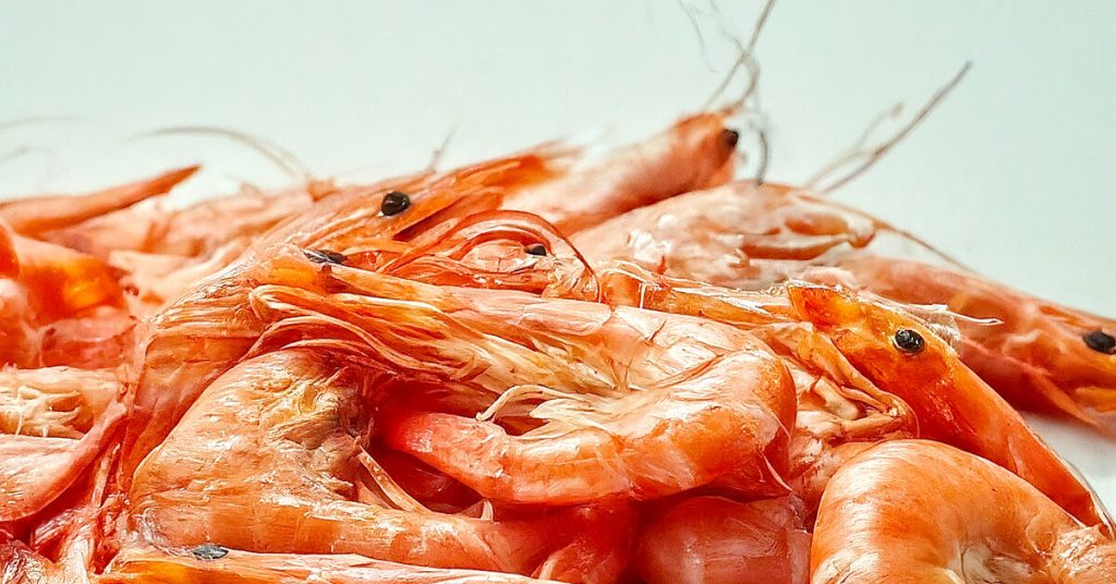 Смертельный ужин: почему иммунитет объявляет войну креветкам и как это связано с древними паразитами