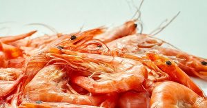 Смертельный ужин: почему иммунитет объявляет войну креветкам и как это связано с древними паразитами