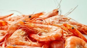 Смертельный ужин: почему иммунитет объявляет войну креветкам и как это связано с древними паразитами