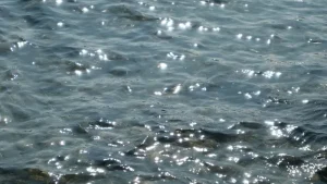 seabed 01