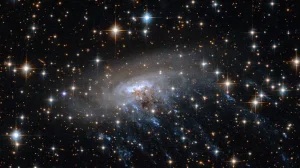 txuxkpaqqdqcxqh8j6ttsh 650 80.png