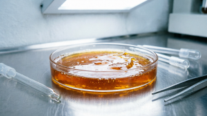 В Новосибирске создана инновационная желирующая добавка для спортивного питания