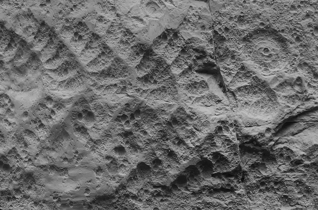 Первое массовое вымирание на Земле оказалось опустошительнее, чем считалось