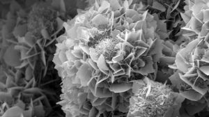 Умная керамика для костей: российские ученые создали растворимые имплантаты