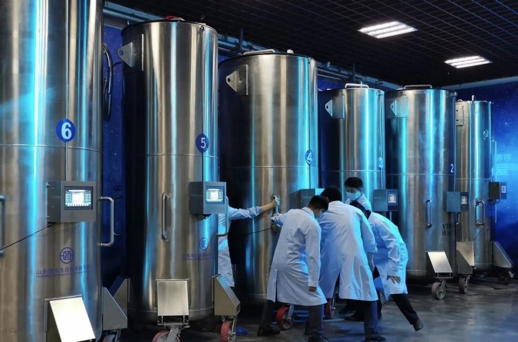 Нервная ткань впервые ожила после глубокой заморозки: нейроны сохранили способность учиться