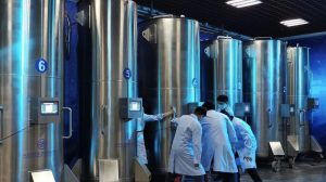 Нервная ткань впервые ожила после глубокой заморозки: нейроны сохранили способность учиться