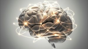brain boost intelligence increase illustration