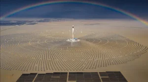 Китай впервые сократил выбросы CO₂ при росте энергопотребления — помогла солнечная энергия