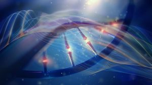 Перевернутая ДНК помогла создать 800 видов рыб в одном озере: открытие ускорителей эволюции