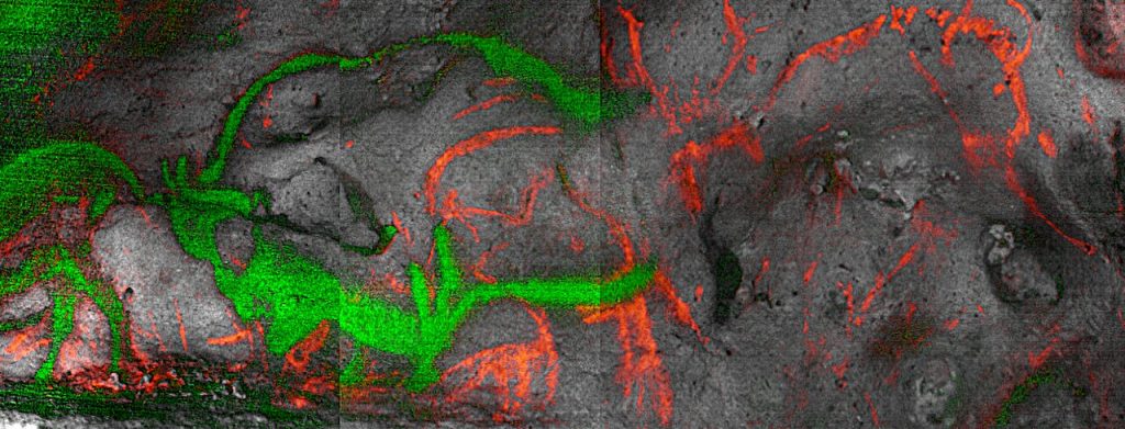 Полтора десятка тысяч лет: ученые впервые точно датировали палеолитические рисунки в Дордонье