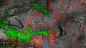 Полтора десятка тысяч лет: ученые впервые точно датировали палеолитические рисунки в Дордонье