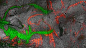 Полтора десятка тысяч лет: ученые впервые точно датировали палеолитические рисунки в Дордонье 9 first absolute dating