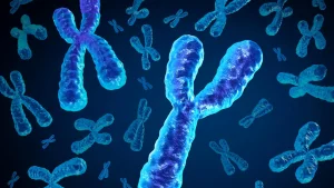 genetics x and y chromosomes dna