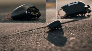 nato deploys german programmable cyborg insect swarms for urban and tunnel reconnaissance b88a9154
