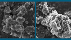 Разработаны фотокатализаторы на основе овечьей шерсти