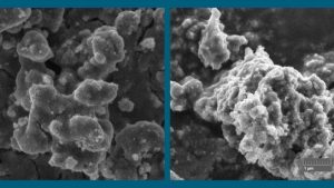 Разработаны фотокатализаторы на основе овечьей шерсти 3 razrabotany fotokatalizatory s ispolzovaniem ovech 1