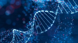 Биологи МГУ с помощью ИИ создали первую полную карту белков, управляющих геномом человека