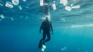 954df04b 14d0 4212 bc75 c9ad09f07169