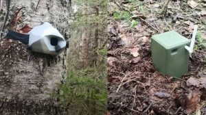 Система «Лесник»: как работает автоматическая защита от незаконных рубок?