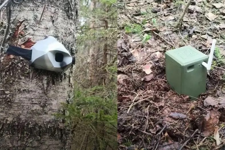 Система «Лесник»: как работает автоматическая защита от незаконных рубок?