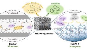 Катализатор для идеальной биомассы: микроводоросли превратили в ценное топливо