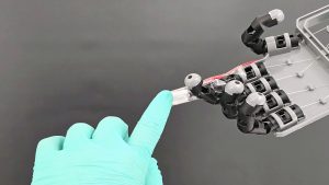 Электронная кожа будущего: создана гибкая прозрачная электроника 3 soft robot