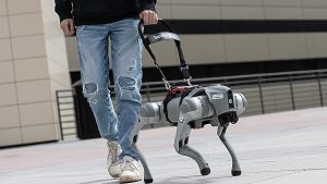 these ai powered guide 1